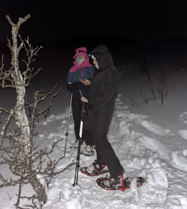 Frauen am Schneeschuhlaufen