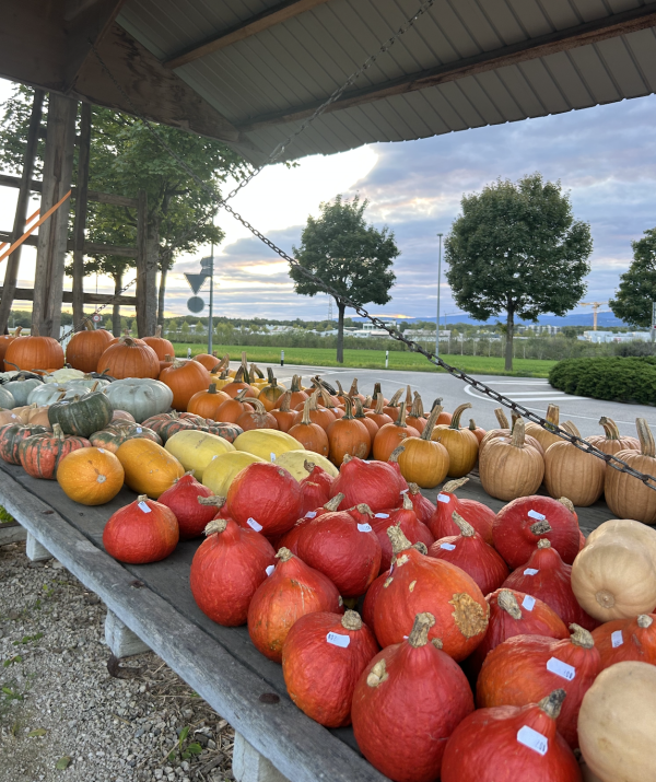 Kürbisse auf einem Wagen